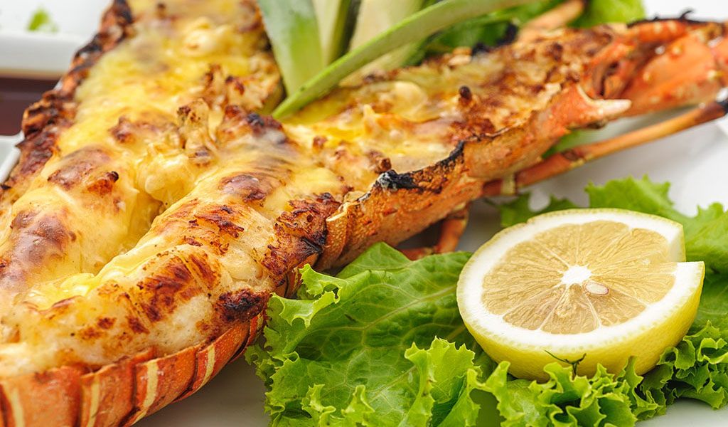 Grilled Lobster